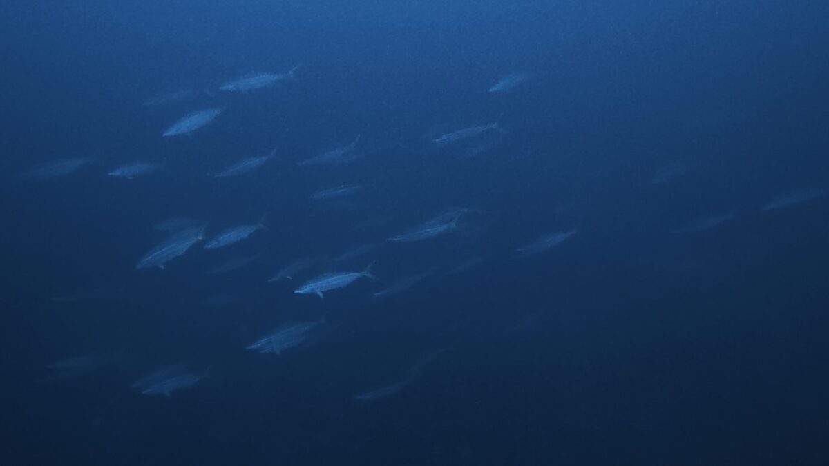 2026/09/19