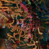 2026/09/11